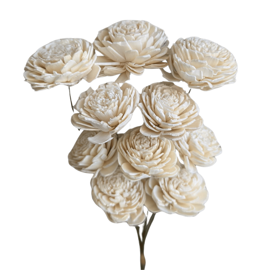 a bunch of white flowers on a white background