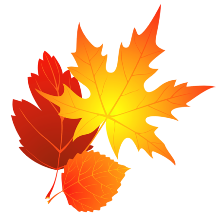 a pair of autumn leaves