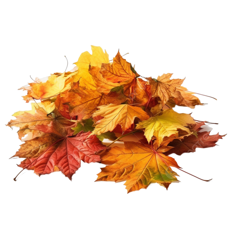 a pile of colorful autumn leaves