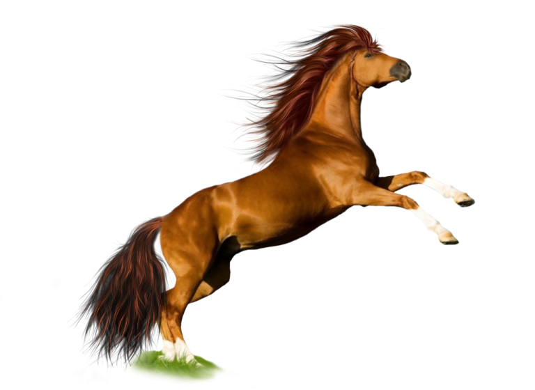 a brown horse is jumping in the air