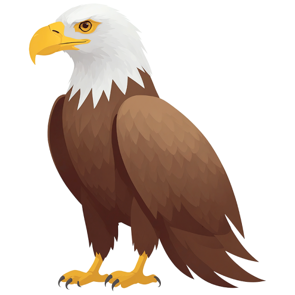 an eagle on a white background