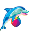 a dolphin with a ball in its mouth
