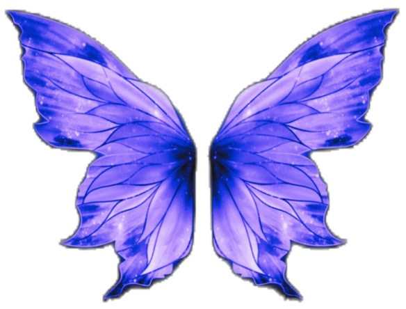 a purple butterfly with blue wings