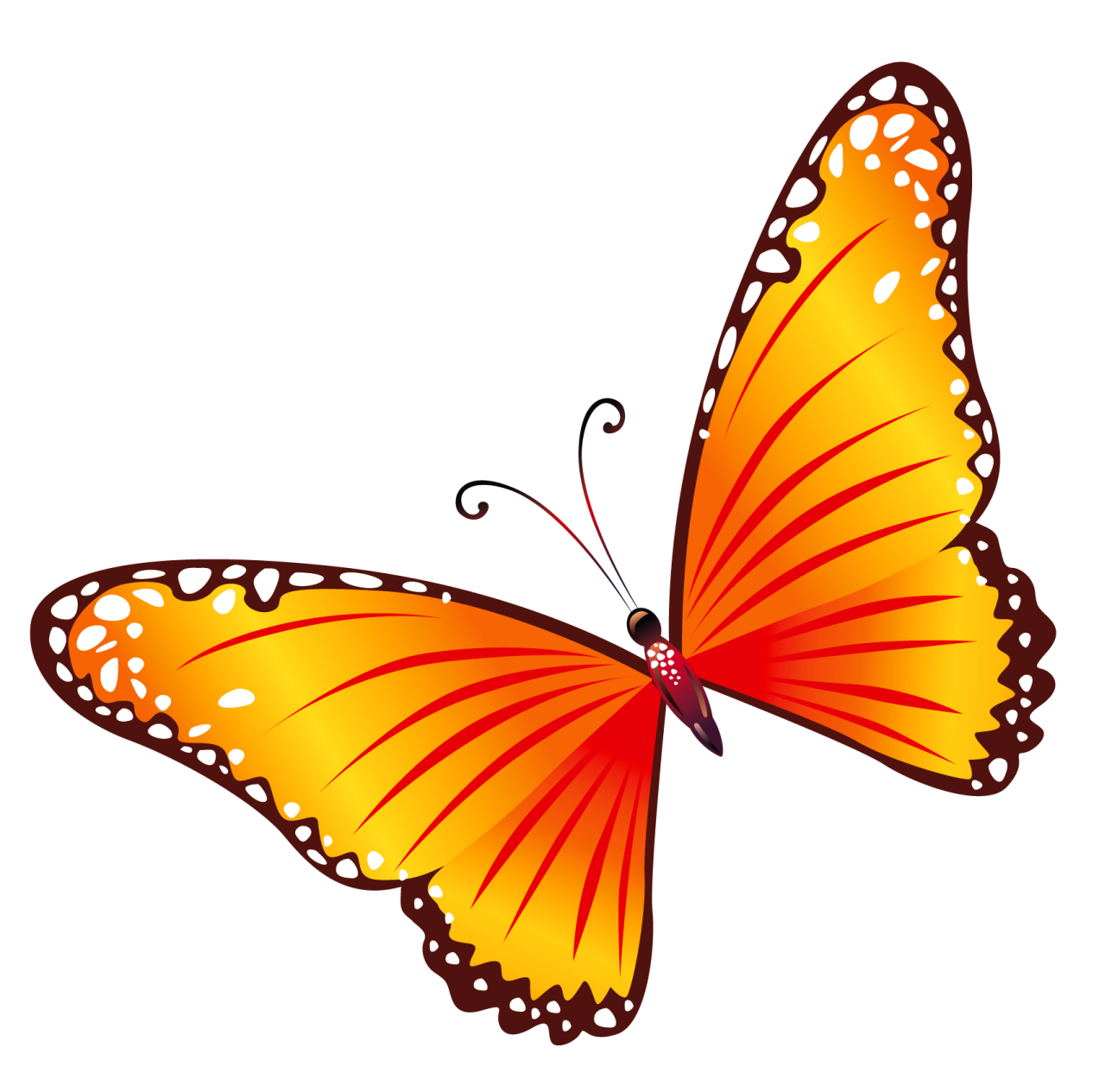 an orange butterfly on a white background