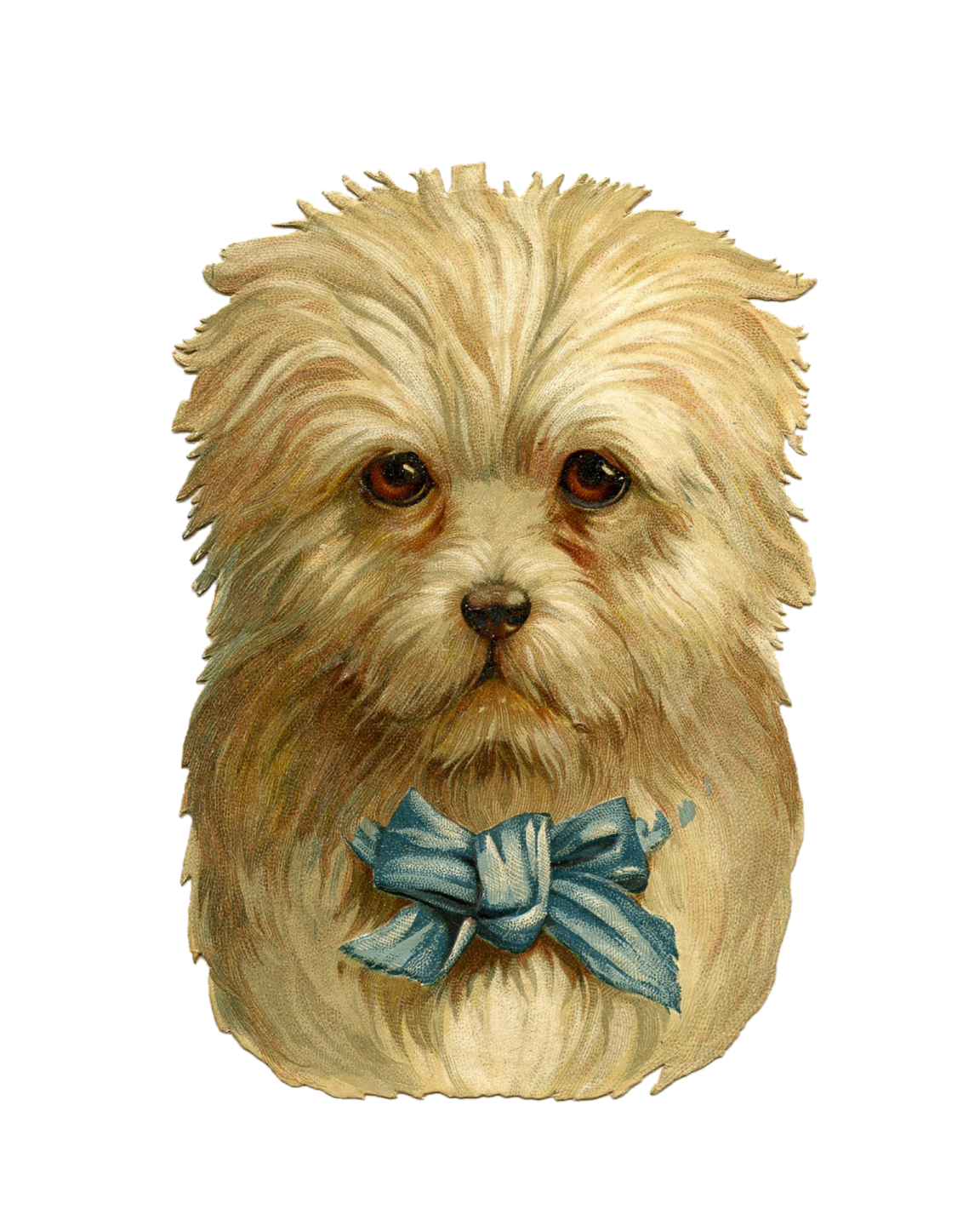 a drawing of a dog with a blue bow