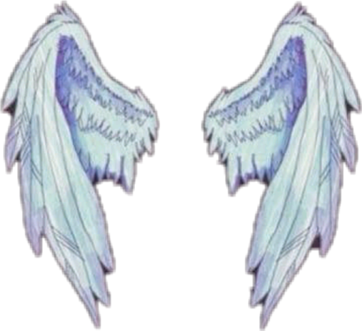 a pair of blue angel wings