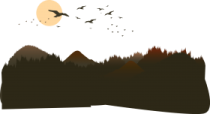 a bird flying in the sky over a forest