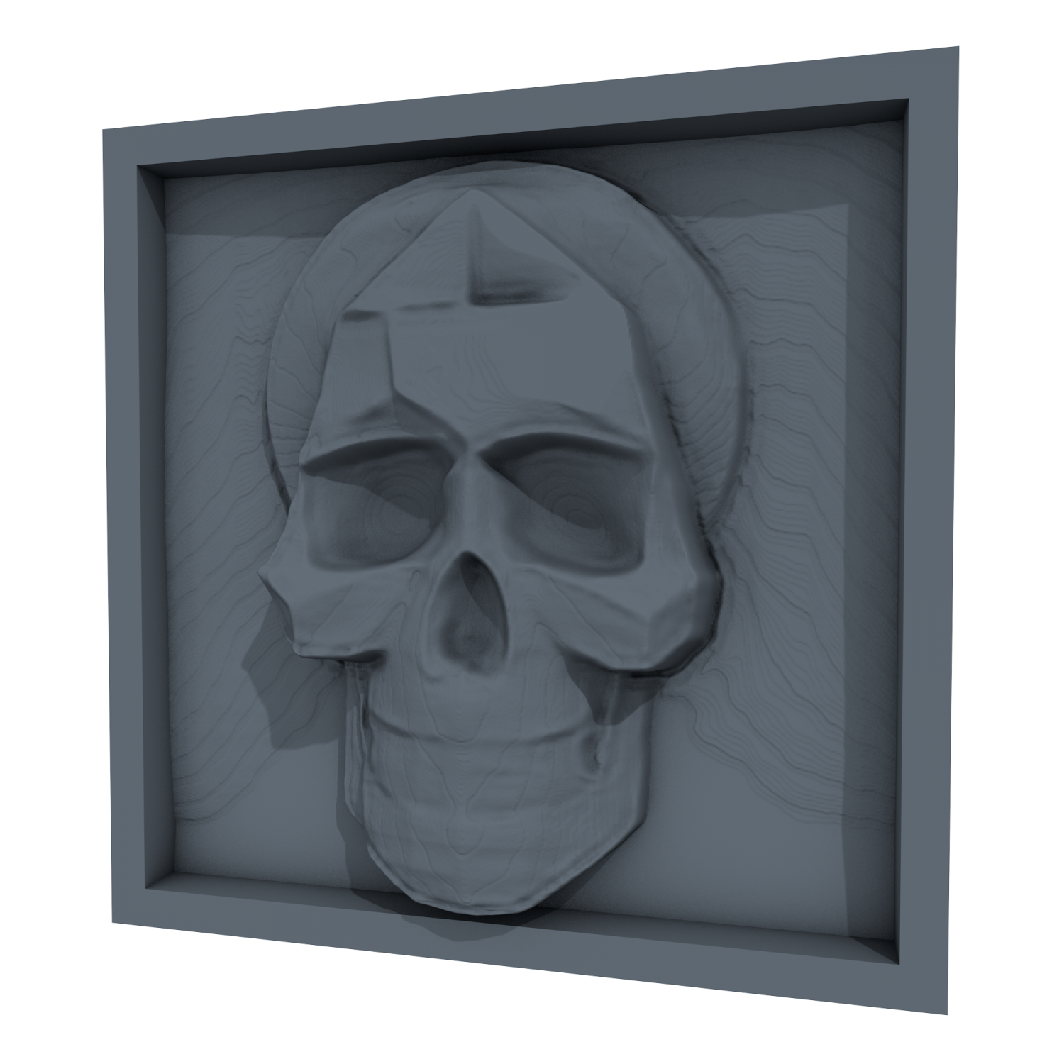 a 3d model of a skull in a black frame