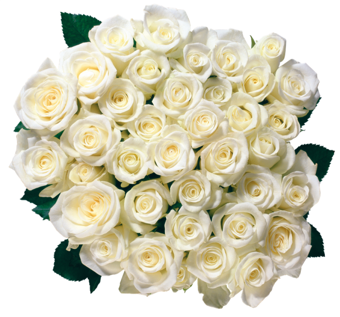 a bouquet of white roses