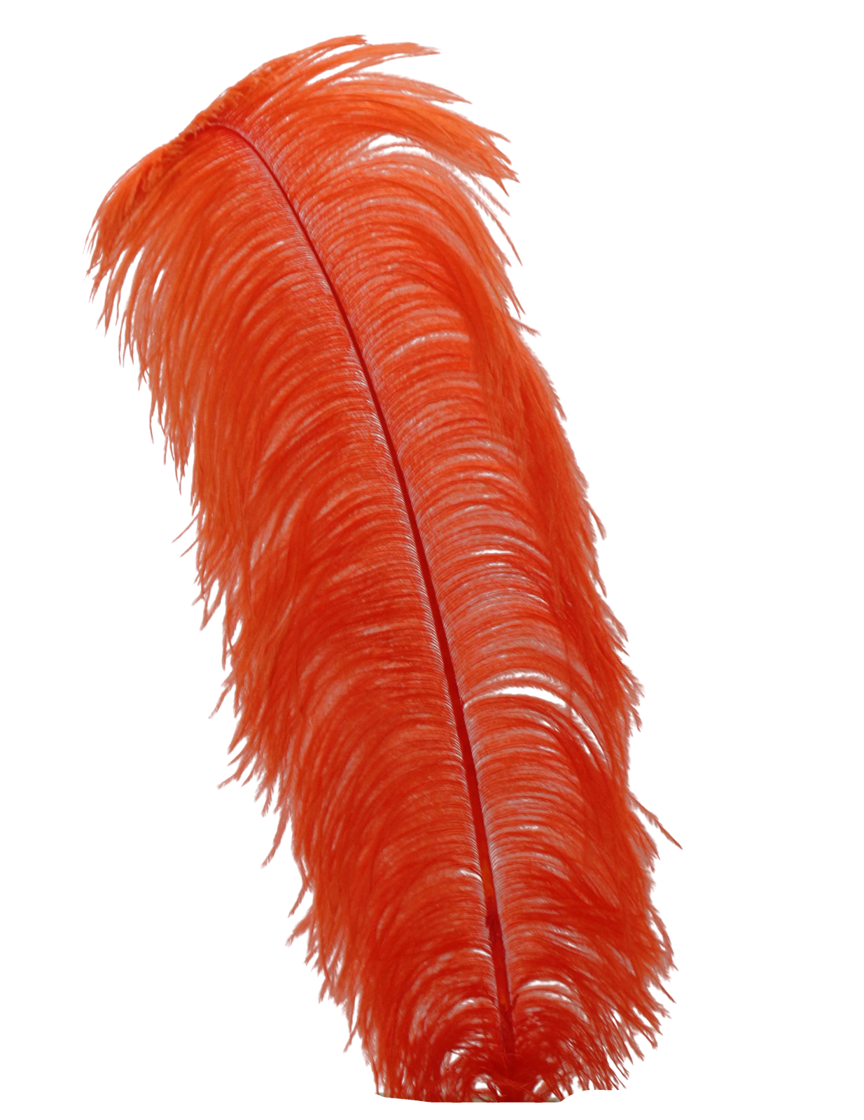 a red feather on a white background