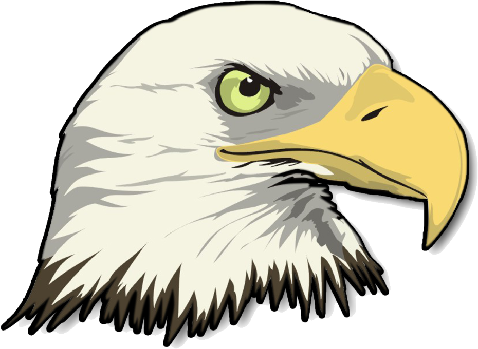 an eagle head with green eyes