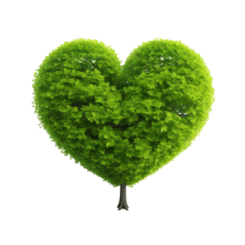 a tree in the shape of a heart