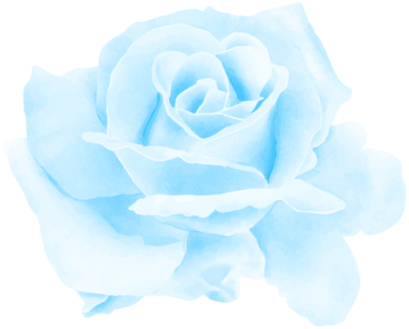 a blue rose on a white background