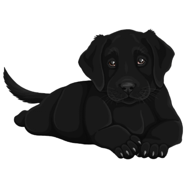 a black dog laying down on the ground
