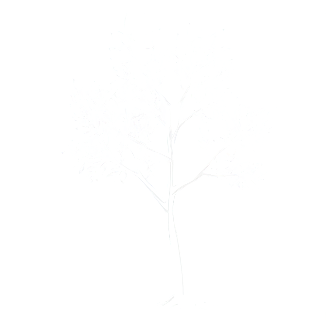 a drawing of a tree on a white background