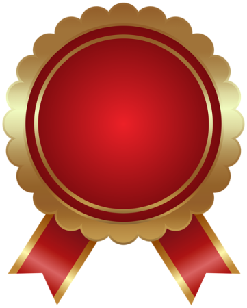 a gold medal with red ribbon