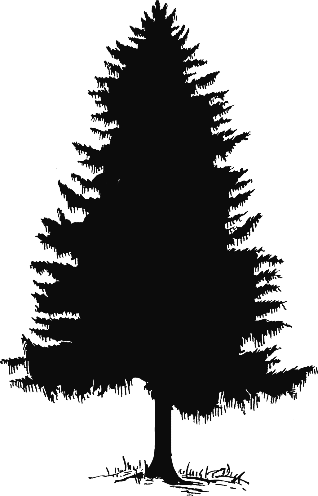 a black and white silhouette of a tree