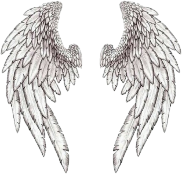 a pair of white wings