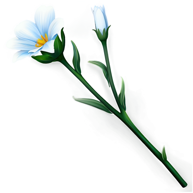 a blue flower on a white background