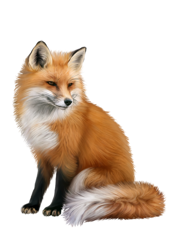 a painting of a red fox sitting down