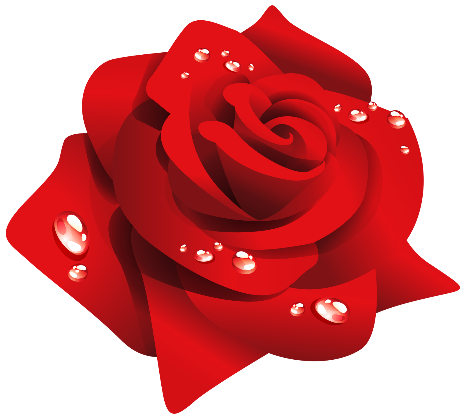 a red rose with water droplets on it