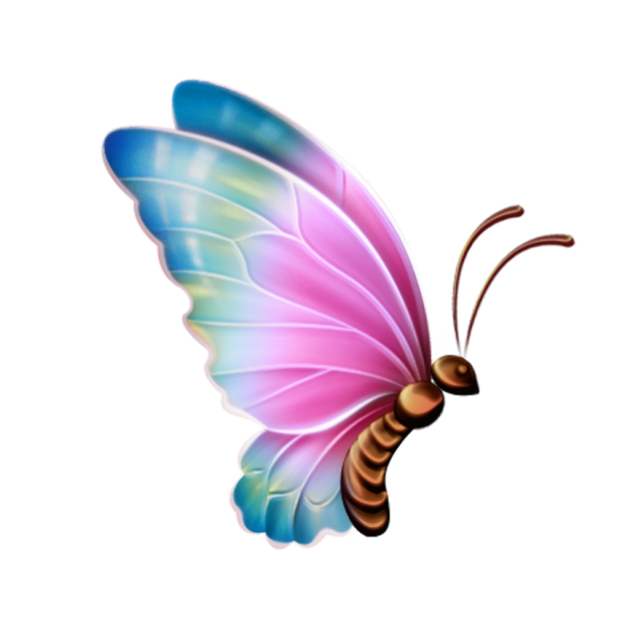 a pink and blue butterfly on a white background