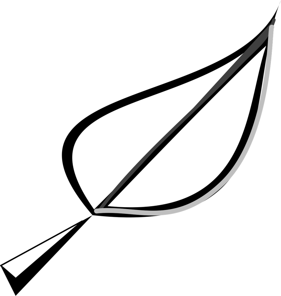 a black and white image of a leaf