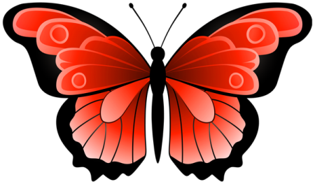 a red butterfly on a white background