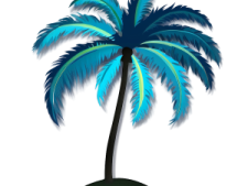 a palm tree on a white background