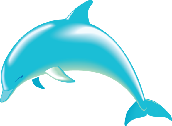 a dolphin jumping out of the water