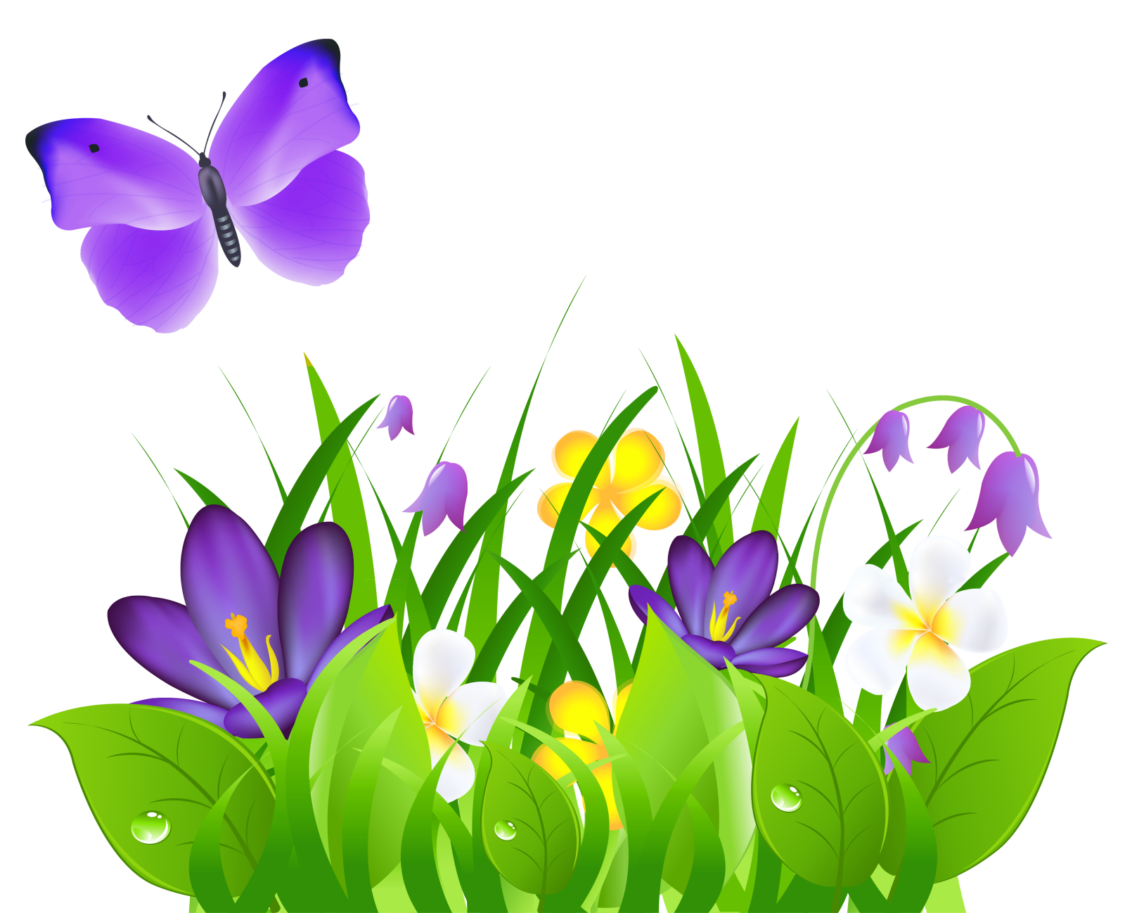 a bunch of flowers and a butterfly