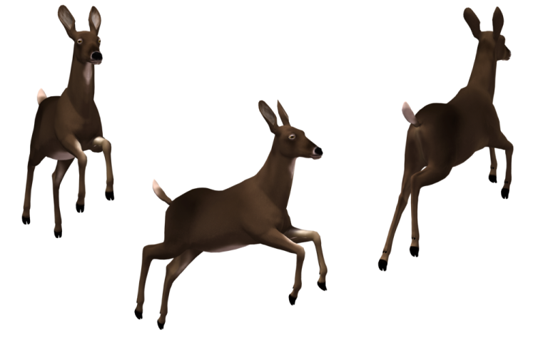 a group of deers standing next to each other