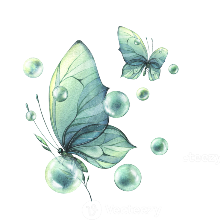 a watercolor painting of a butterfly and bubbles