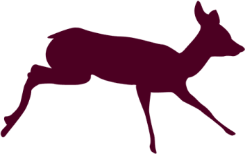 a deer silhouetted on a white background