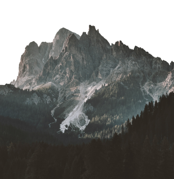 the mountains are covered with trees