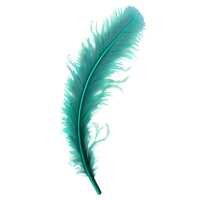 a green feather on a white background