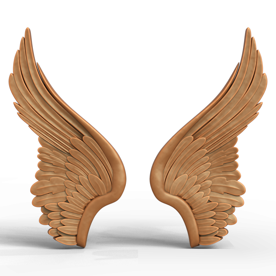 a pair of wooden angel wings