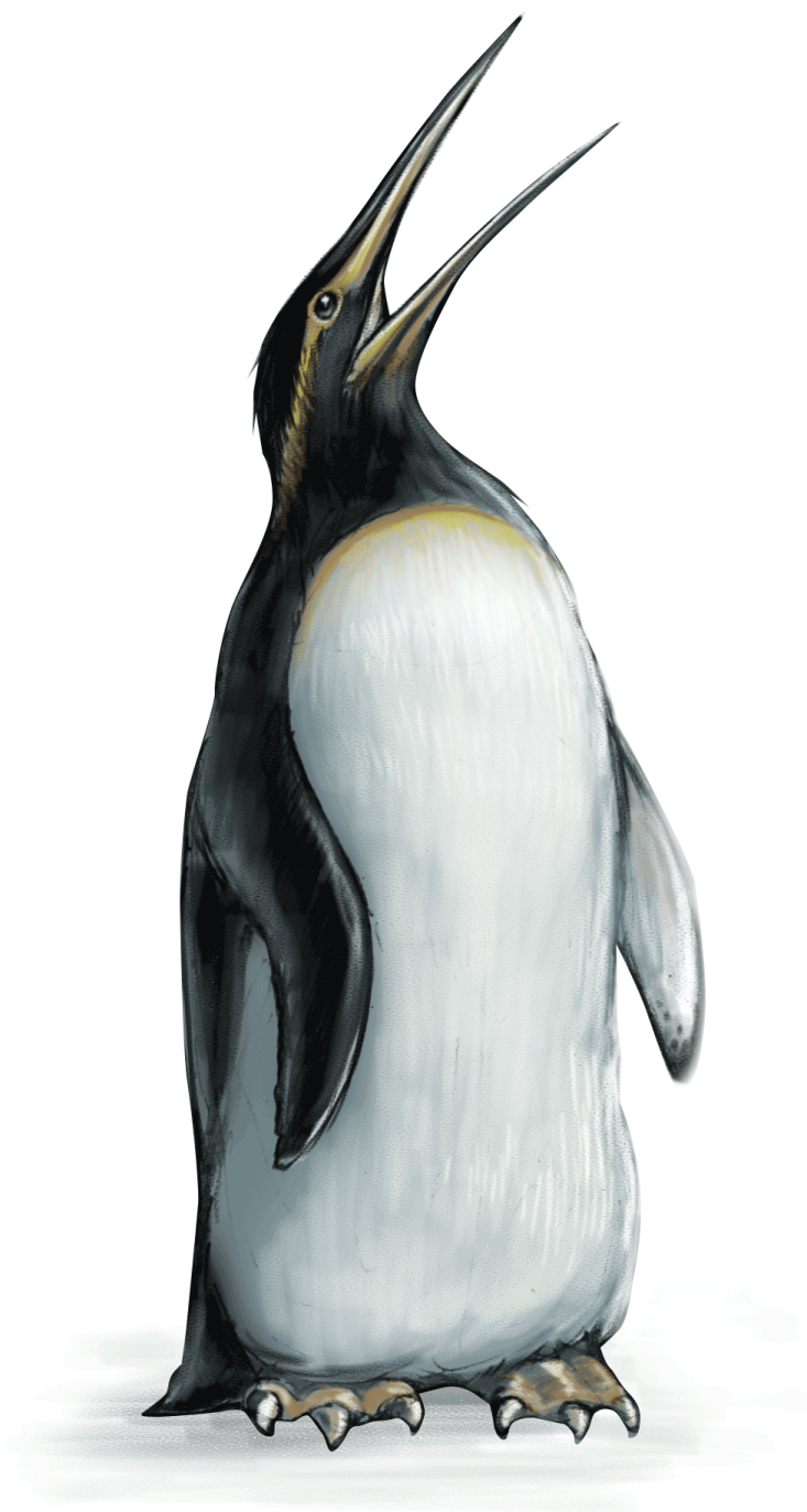 an illustration of a penguin with its beak open