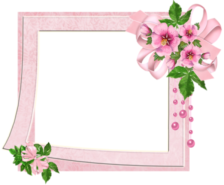 a frame with pink flowers and green leaves