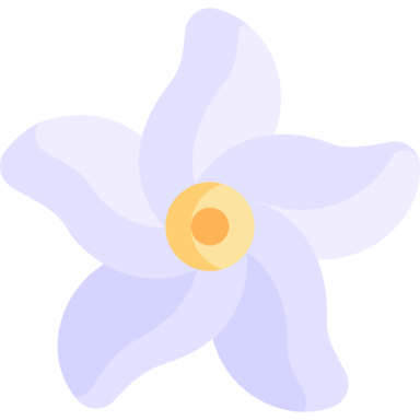 a white flower with a yellow center