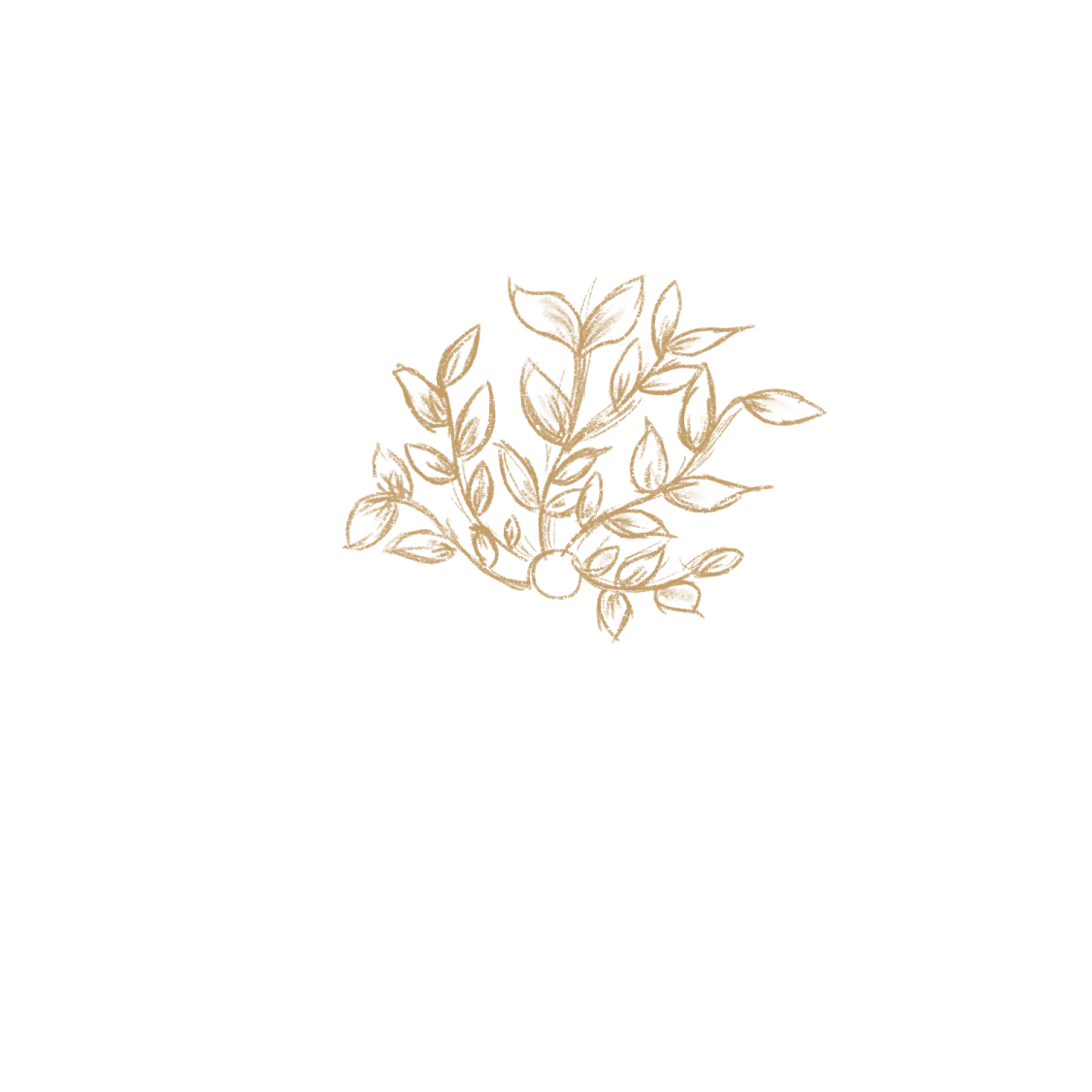 a drawing of a branch with leaves