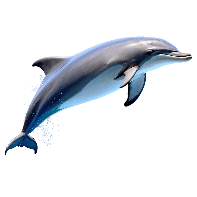 a dolphin jumping in the air on a white background