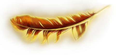 a golden feather on a white background