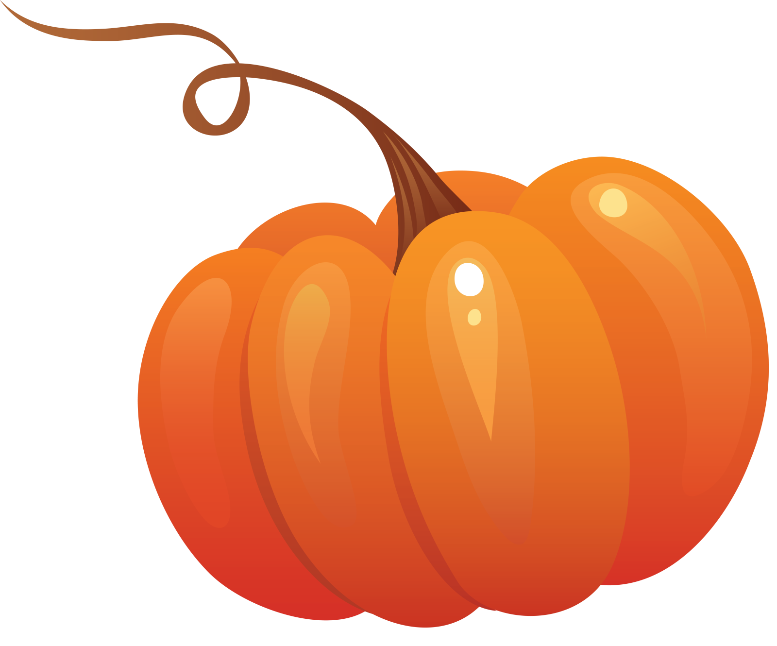 a pumpkin on a white background