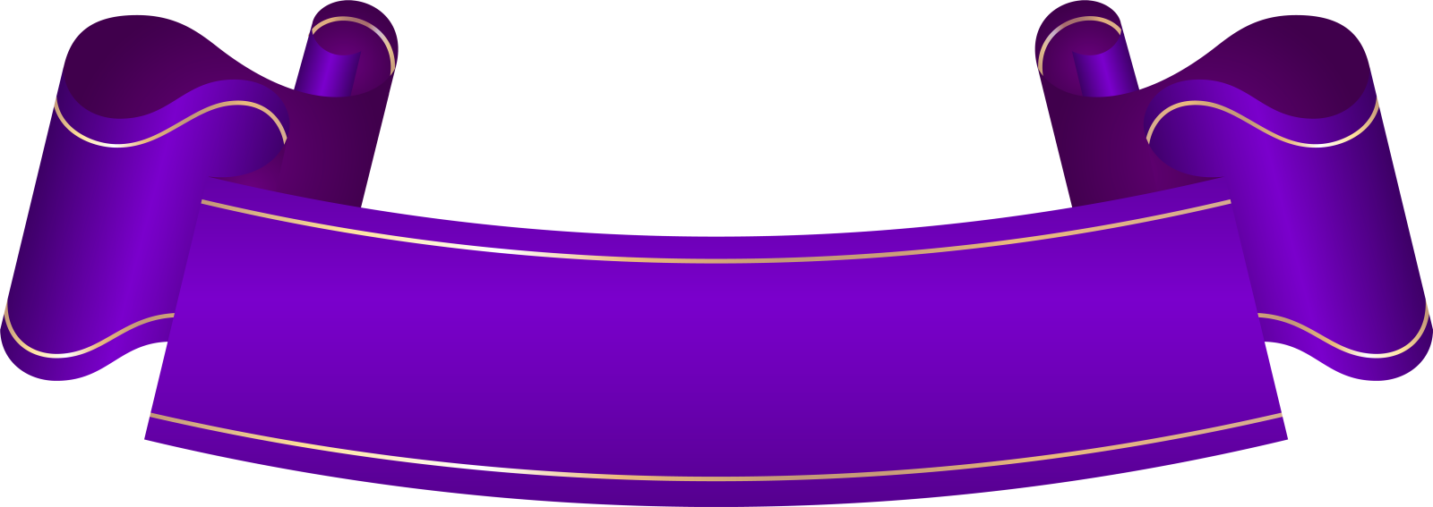 a purple ribbon with gold trim