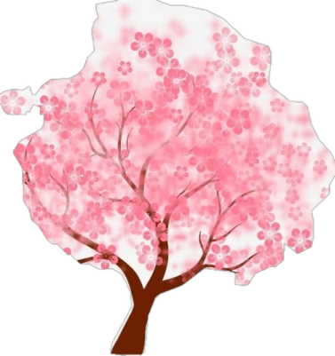 a cherry tree with pink flowers