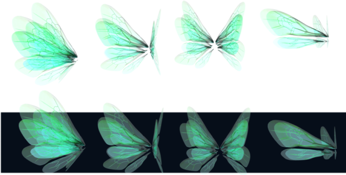 a set of four butterflies with different wings