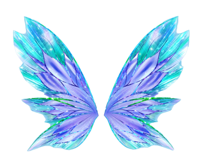 a pair of wings on a white background