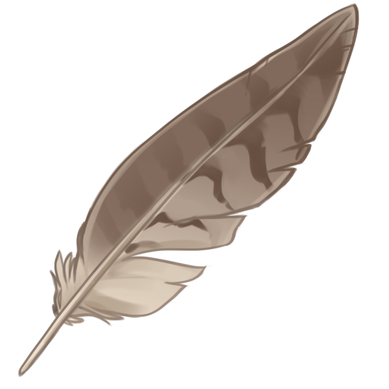 a brown feather on a white background