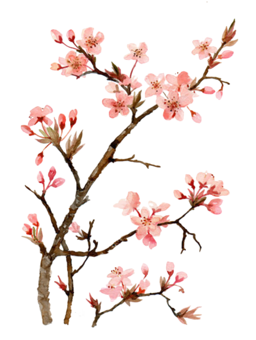 a branch with pink flowers on it